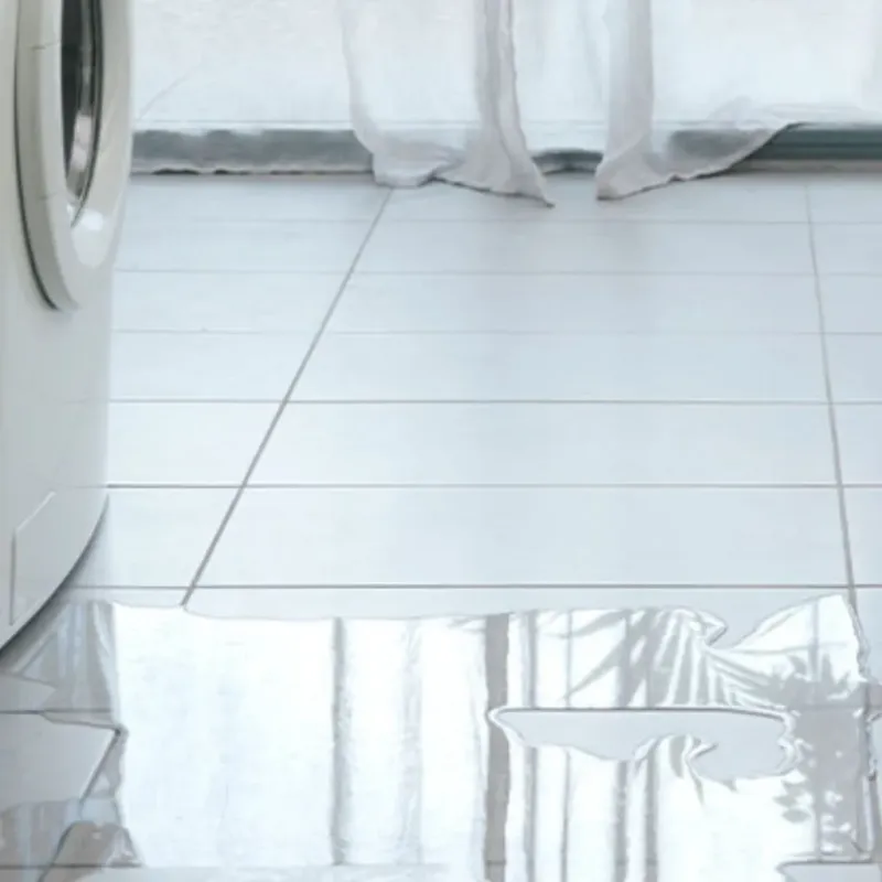 Appliance Leak Cleanup in Rainsville, AL