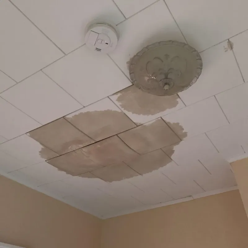 Ceiling Water Damage Repair in Rainsville, AL
