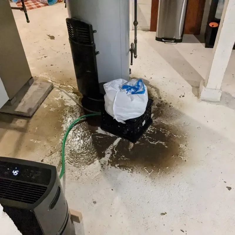 Sewage Backup Cleanup Service in Rainsville, AL